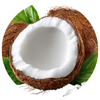 coconut flavoured sports supplement manufacturing