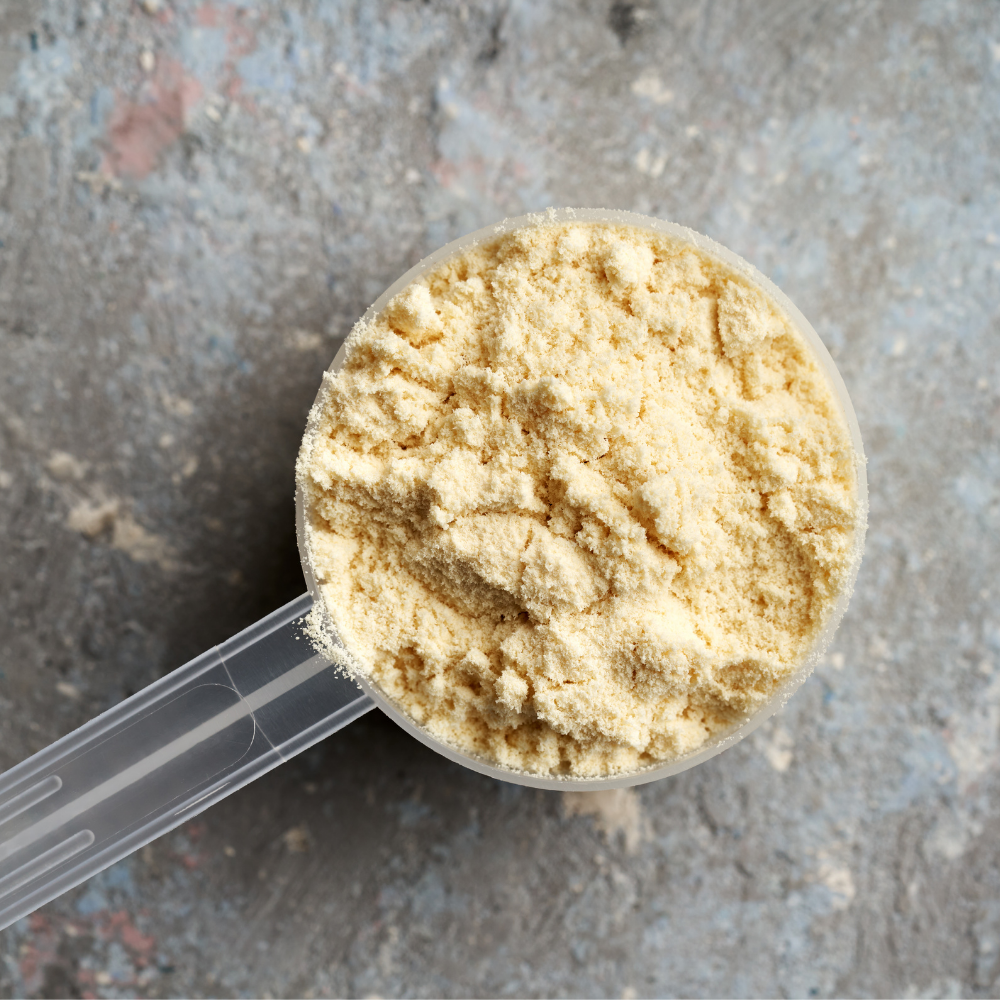 protein powder in a scoop sports supplement manufacturing