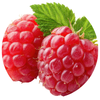 raspberry flavoured sports supplement manufacturing