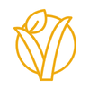 Vegan Capsule Manufacturing